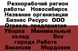 Разнорабочий(регион работы - Новосибирск) › Название организации ­ Бизнес Ресурс, ООО › Отрасль предприятия ­ Уборка › Минимальный оклад ­ 22 000 - Все города Работа » Вакансии   . Мордовия респ.